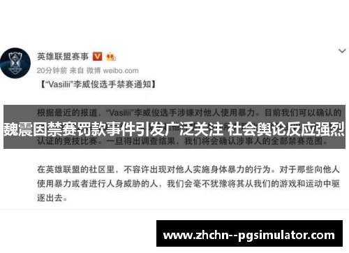 魏震因禁赛罚款事件引发广泛关注 社会舆论反应强烈