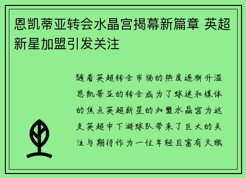 恩凯蒂亚转会水晶宫揭幕新篇章 英超新星加盟引发关注 恩凯蒂亚转会水晶宫揭幕新篇章 英超新星加盟引发关注