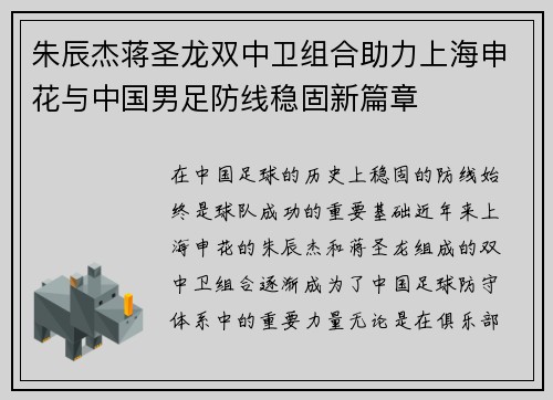 朱辰杰蒋圣龙双中卫组合助力上海申花与中国男足防线稳固新篇章